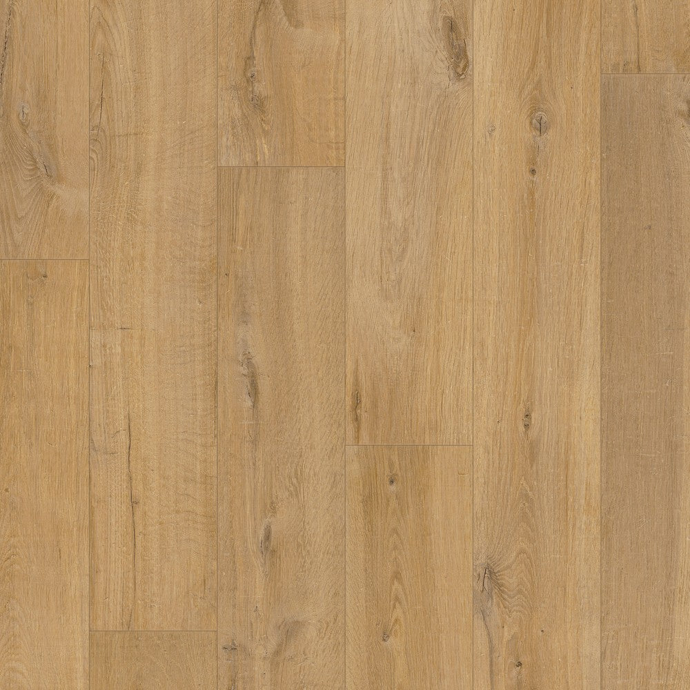 IM1855 zachte eik natuur