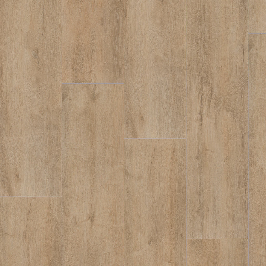 Major oak beige