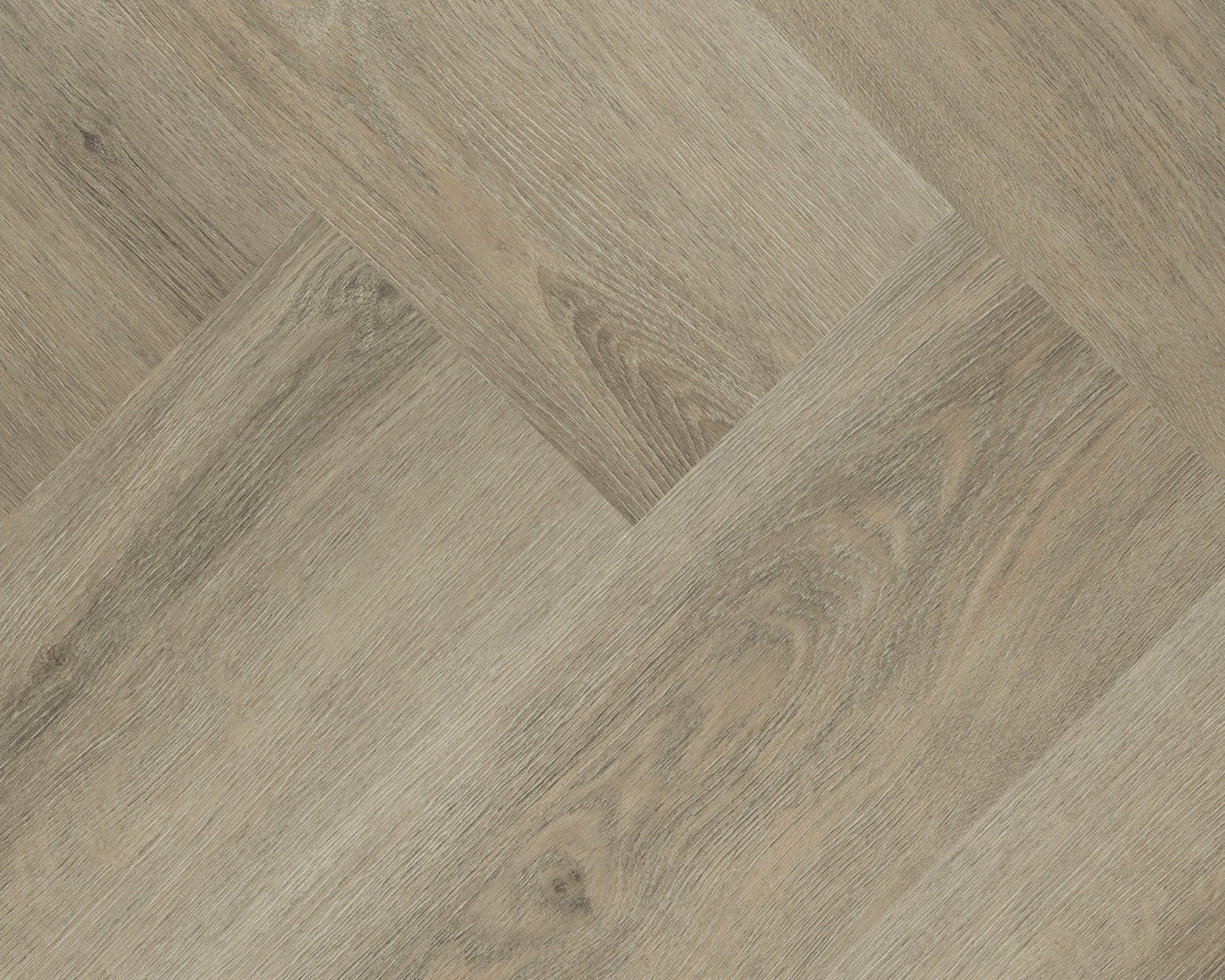 Charente Visgraat 7745