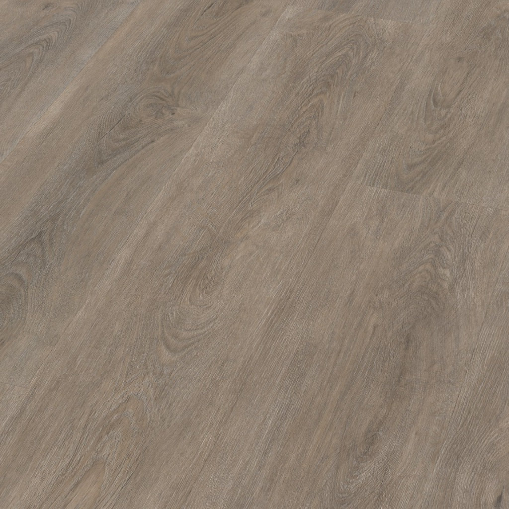 Parramatta dryback smokey