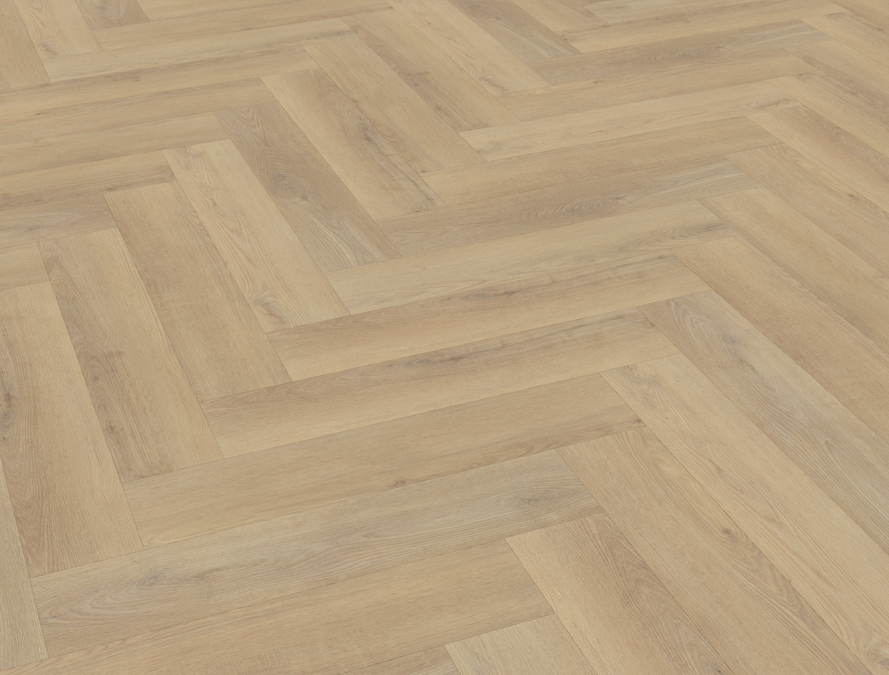 Palazzo visgraat XL 72