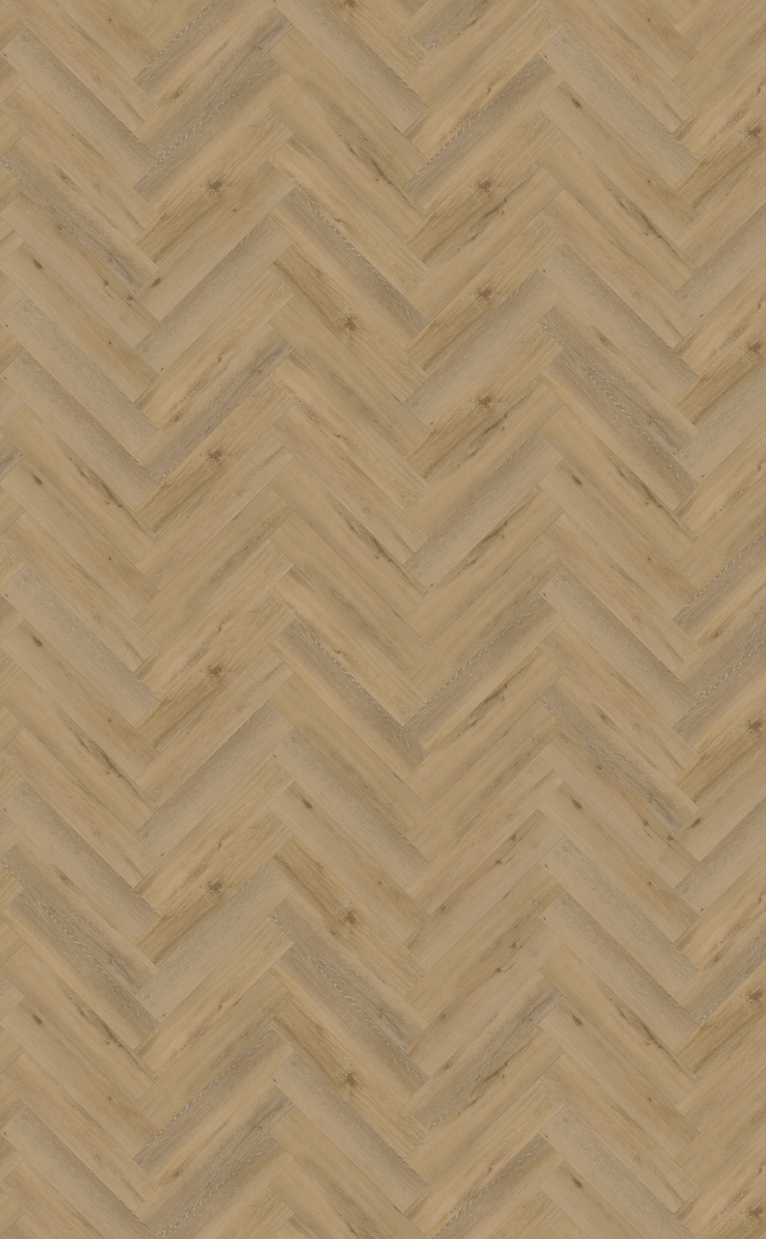 Belakos Attico Visgraat XL 80