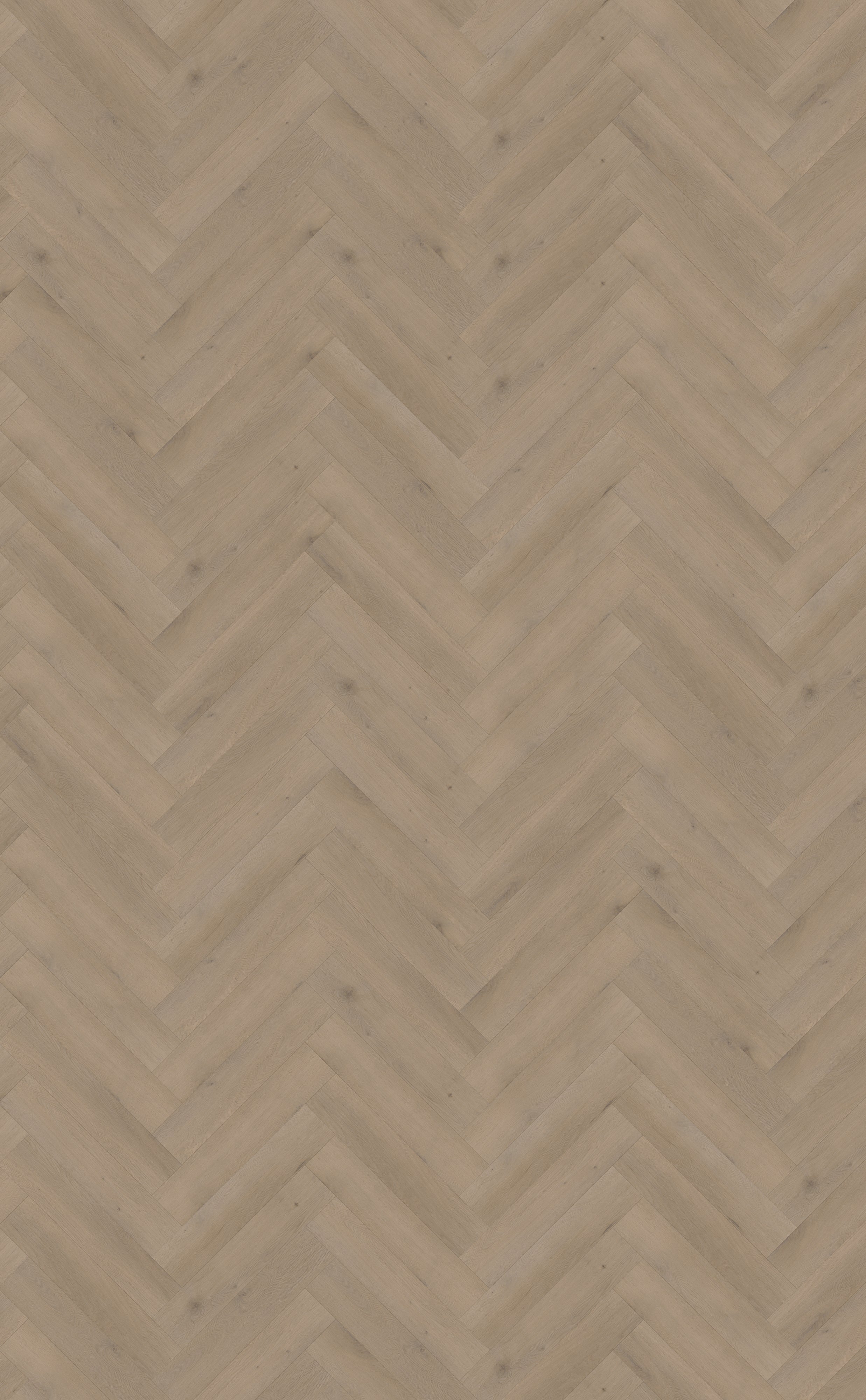 Belakos Attico Visgraat XL 82