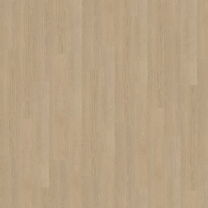 Futuro 520 | Rigid Click