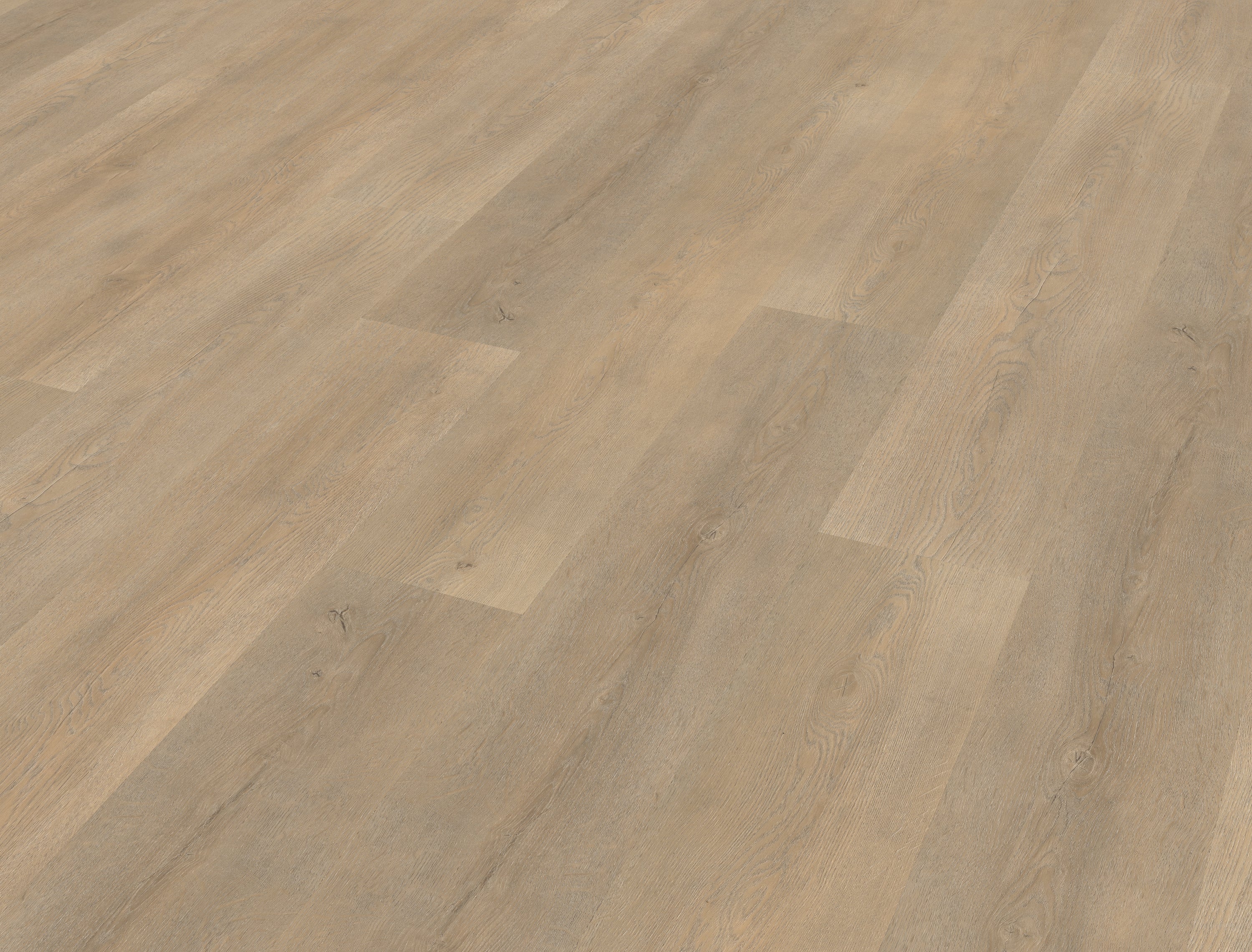 Palazzo 710 | Rigid Click