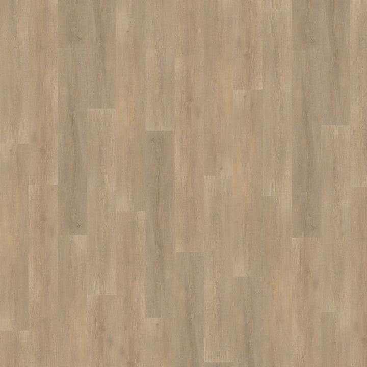 Palazzo 710 | Rigid Click