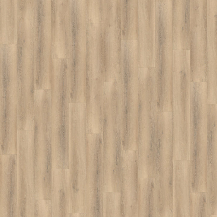 Palazzo 750 Rigid Click