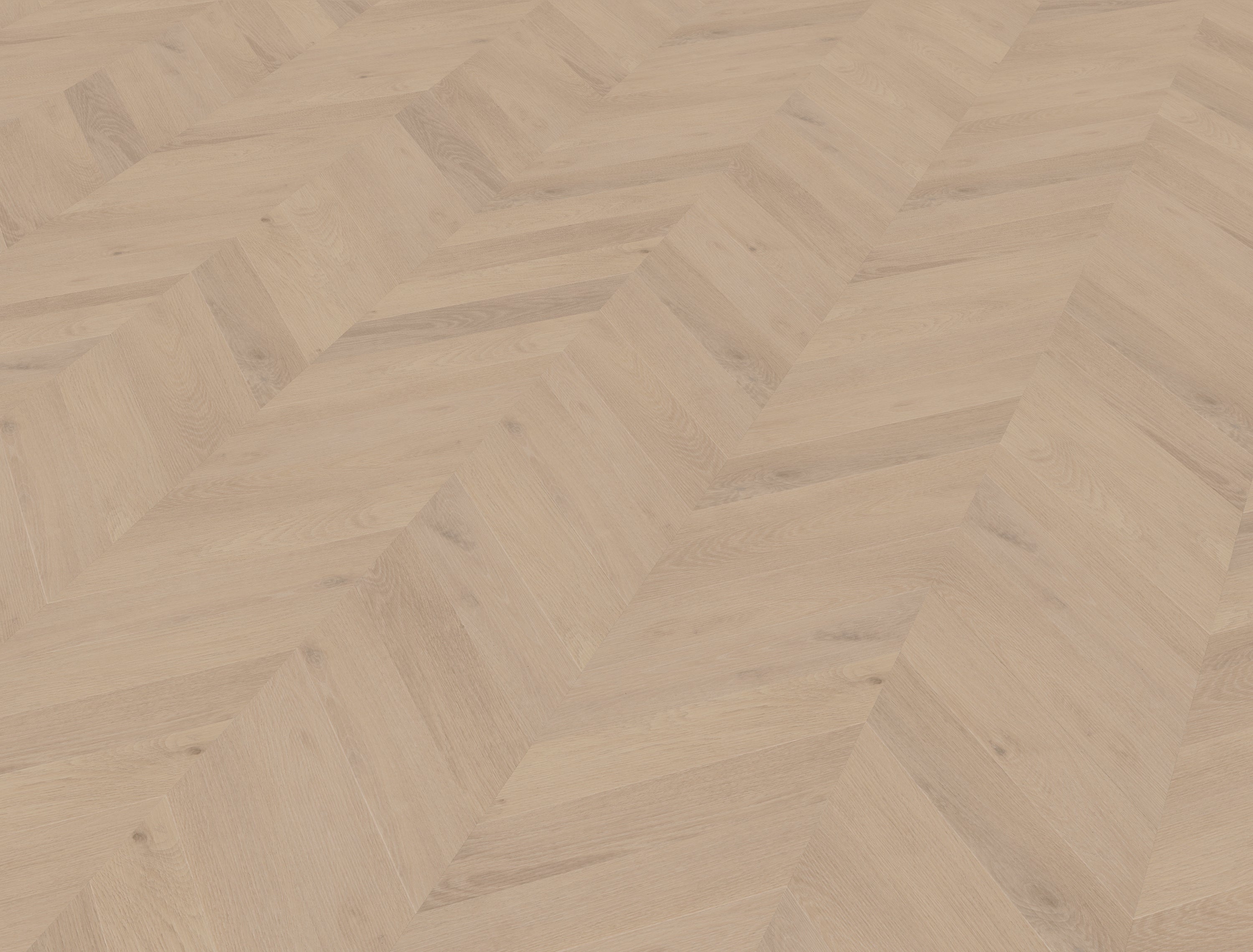 Palazzo Hongaarse punt | Weense punt 74