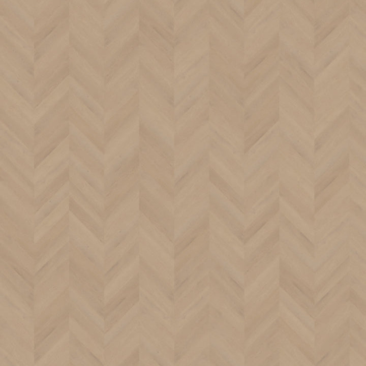 Palazzo Hongaarse punt | Weense punt 77