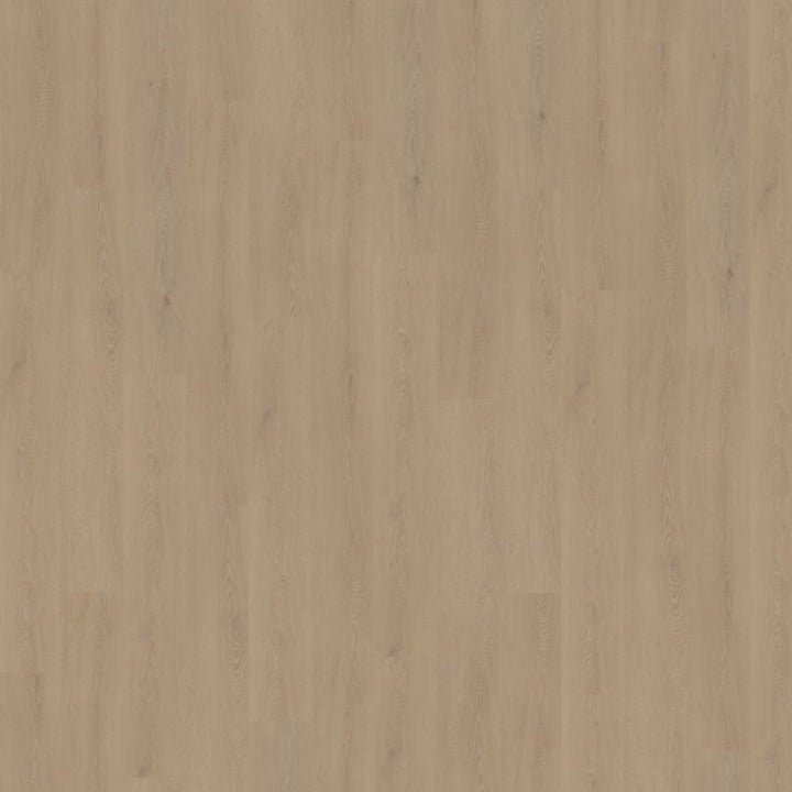 Cervo 210 | Rigid Click