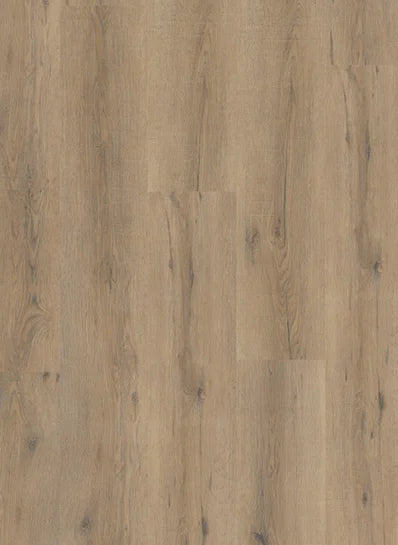 Gelasta City Dryback Smoked Oak Light