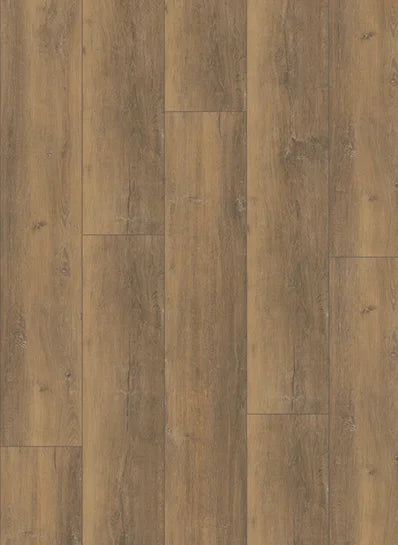 Gelasta City Dryback Pluto Natural