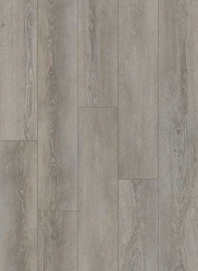 Gelasta City Dryback Olympia Pine Light