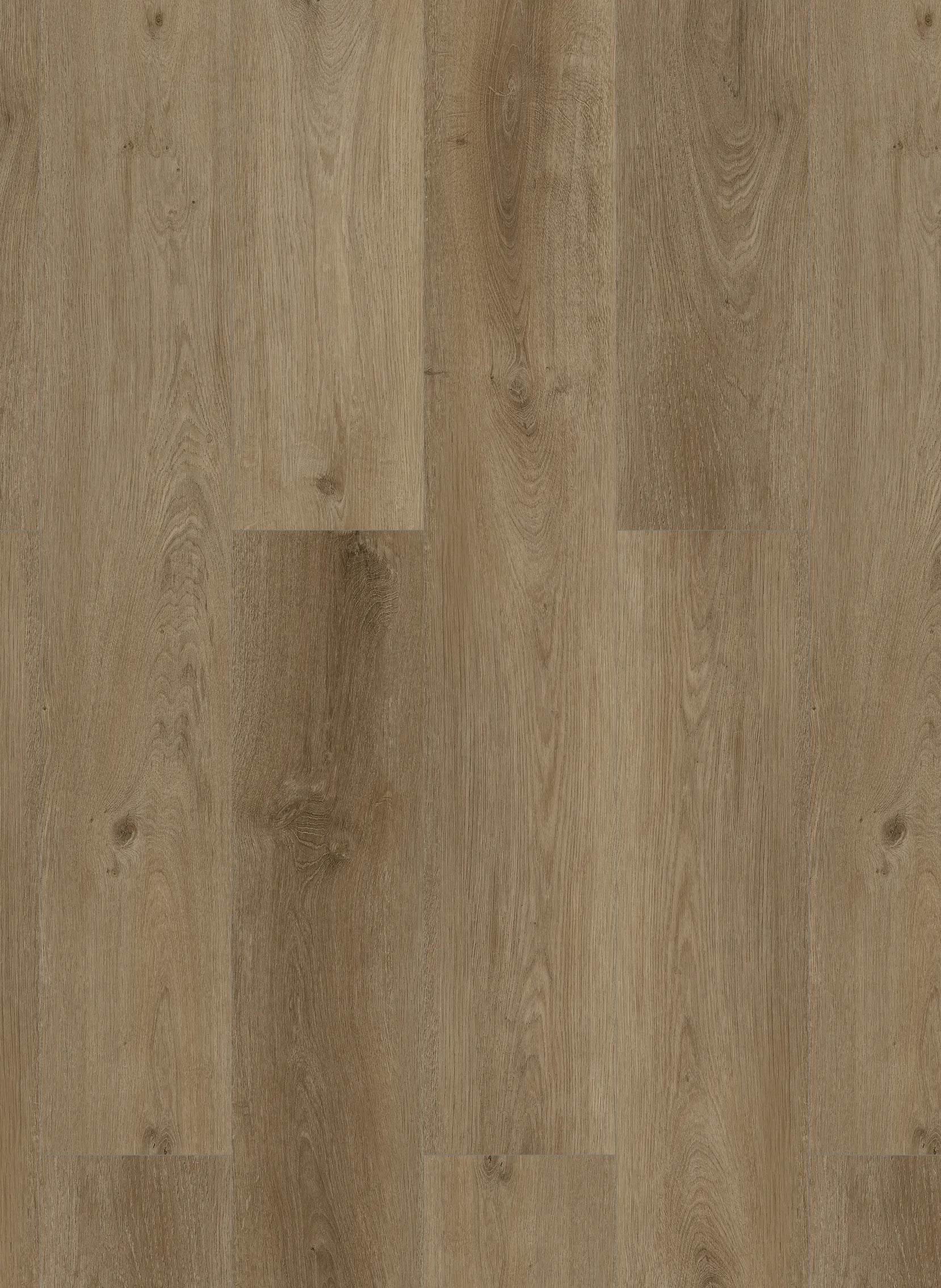 Gelasta Country Dryback Prestige Oak Smoked