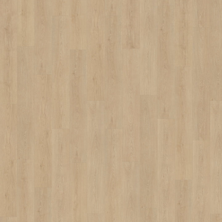 Monastro 920 | Rigid Click