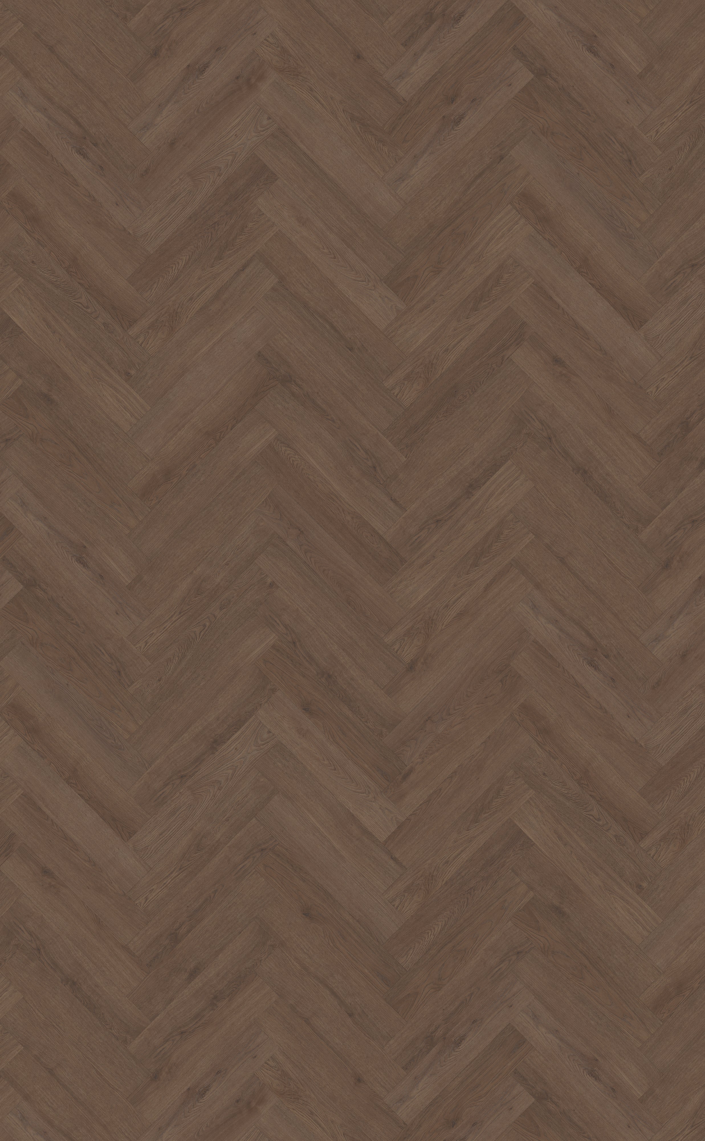 Belakos Monastro Visgraat XL Rigid Click 90