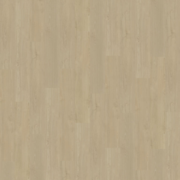 Portico 570 | Rigid Click