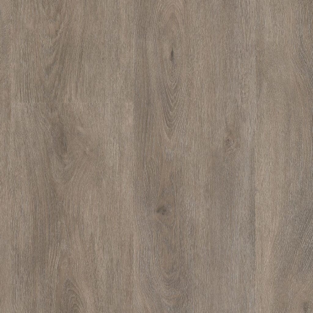 Parramatta dryback smoky