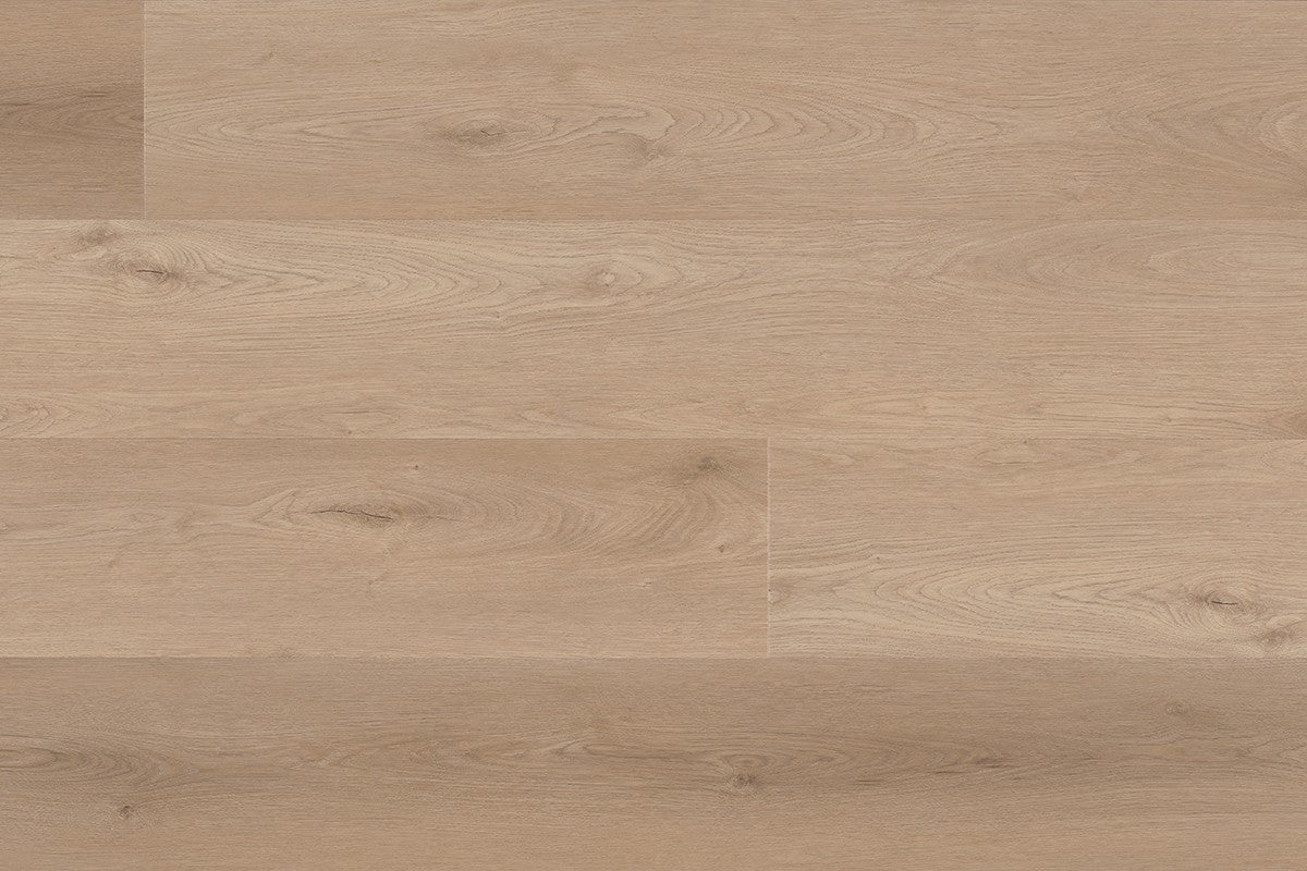 Nakuru 230 Baboon IB