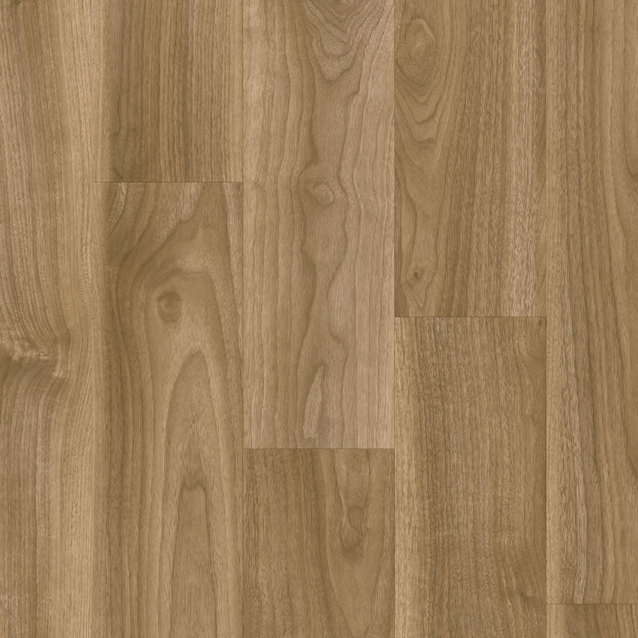 Roots English Walnut 20275