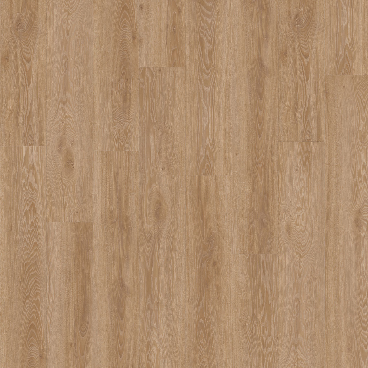 LAYRED BLACKJACK OAK 22450