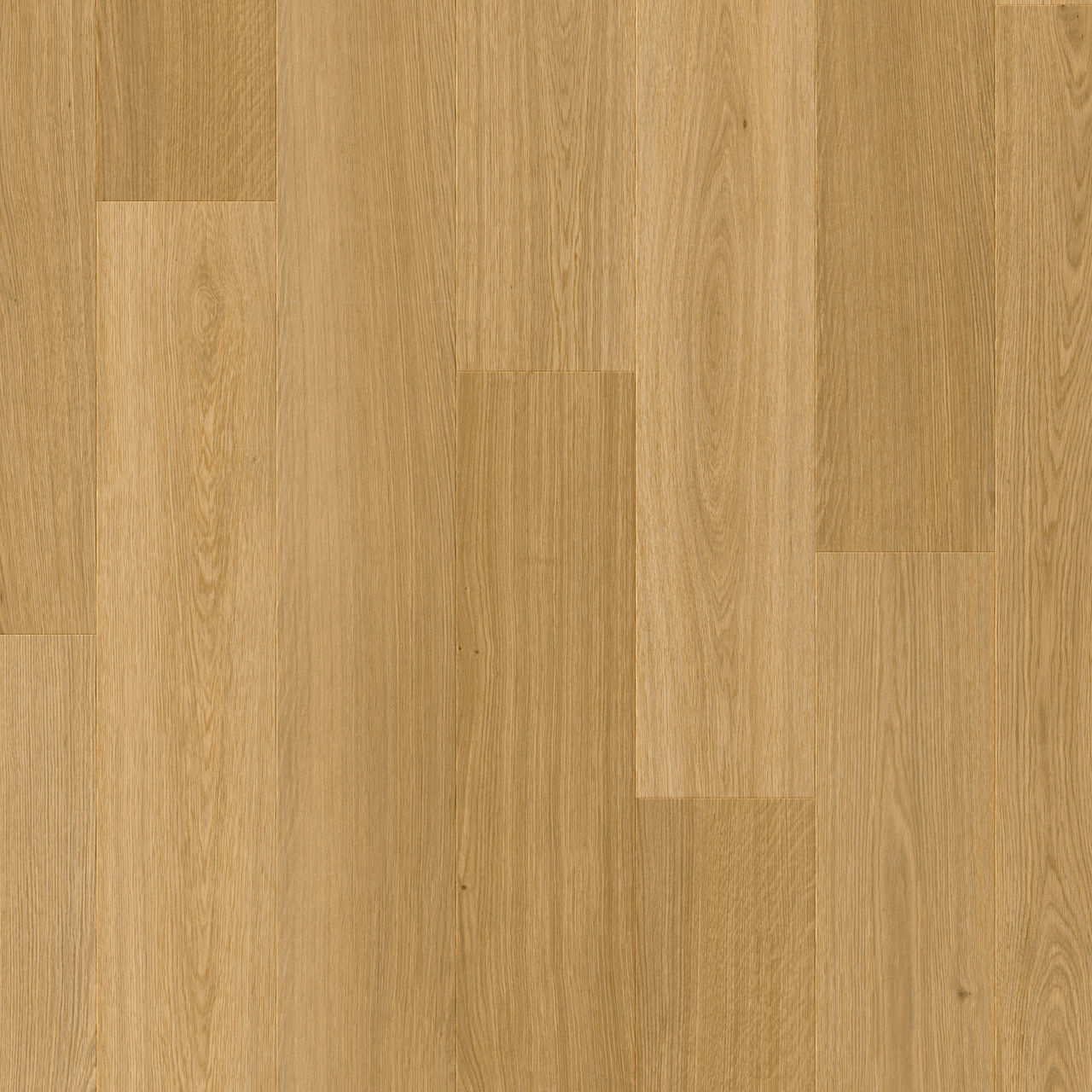 LAYRED HAARLEMMER OAK 64831