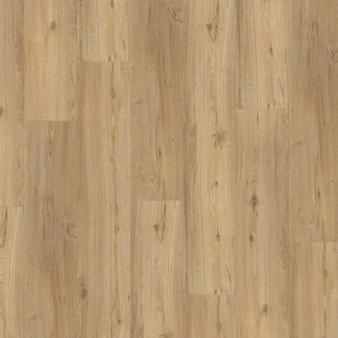 Designvloer Vinyl Basic 5.3 eiken natuur geborstelde str landhuis v-kant