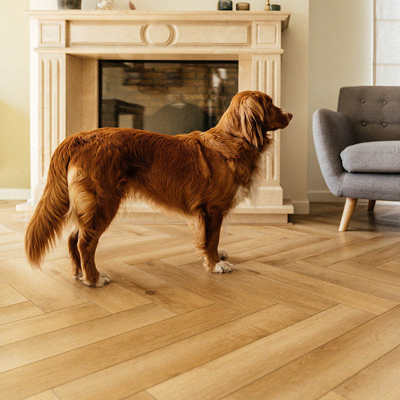 Yukon Herringbone 123 Mistral IB