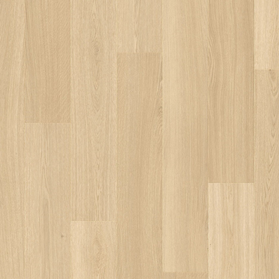 HAARLEMMER OAK 64249