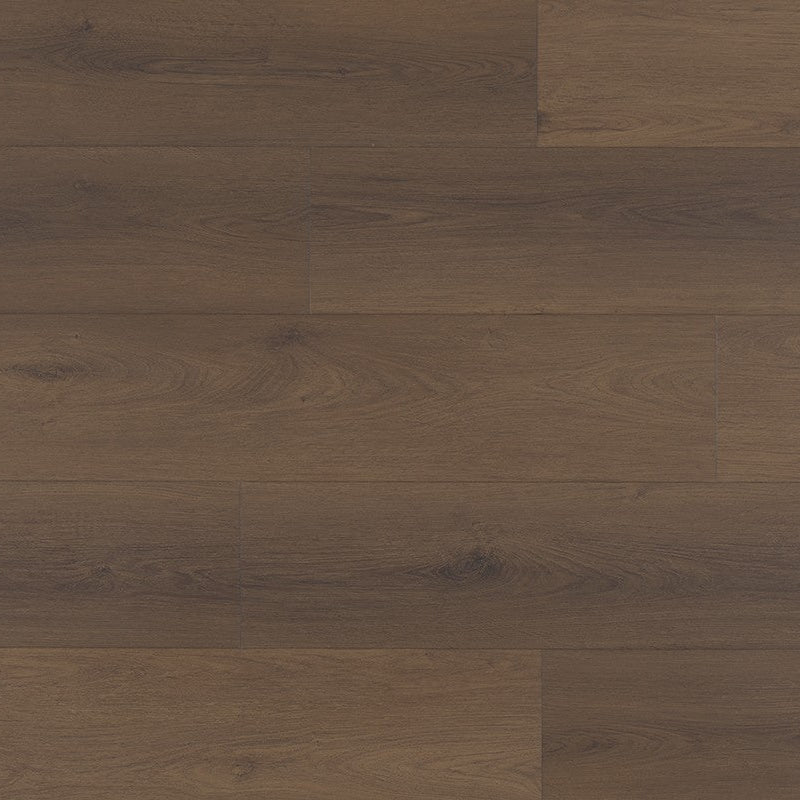 Tigris Dryback 228 Chocolate Fudge