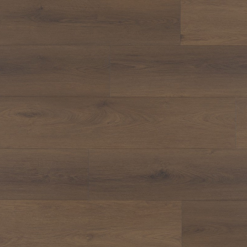 Tigris 232 Chocolate Fudge IB