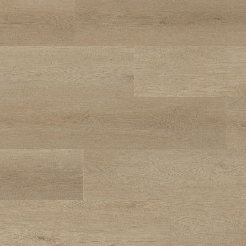 Tigris 232 Savanna IB