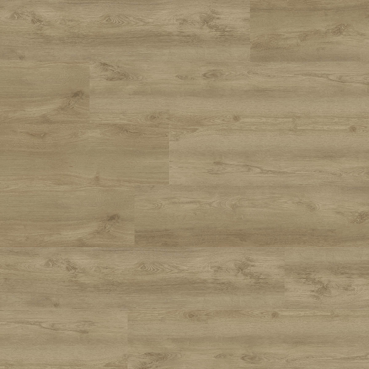 Aspecta GD30 Downing Oak Light Plank