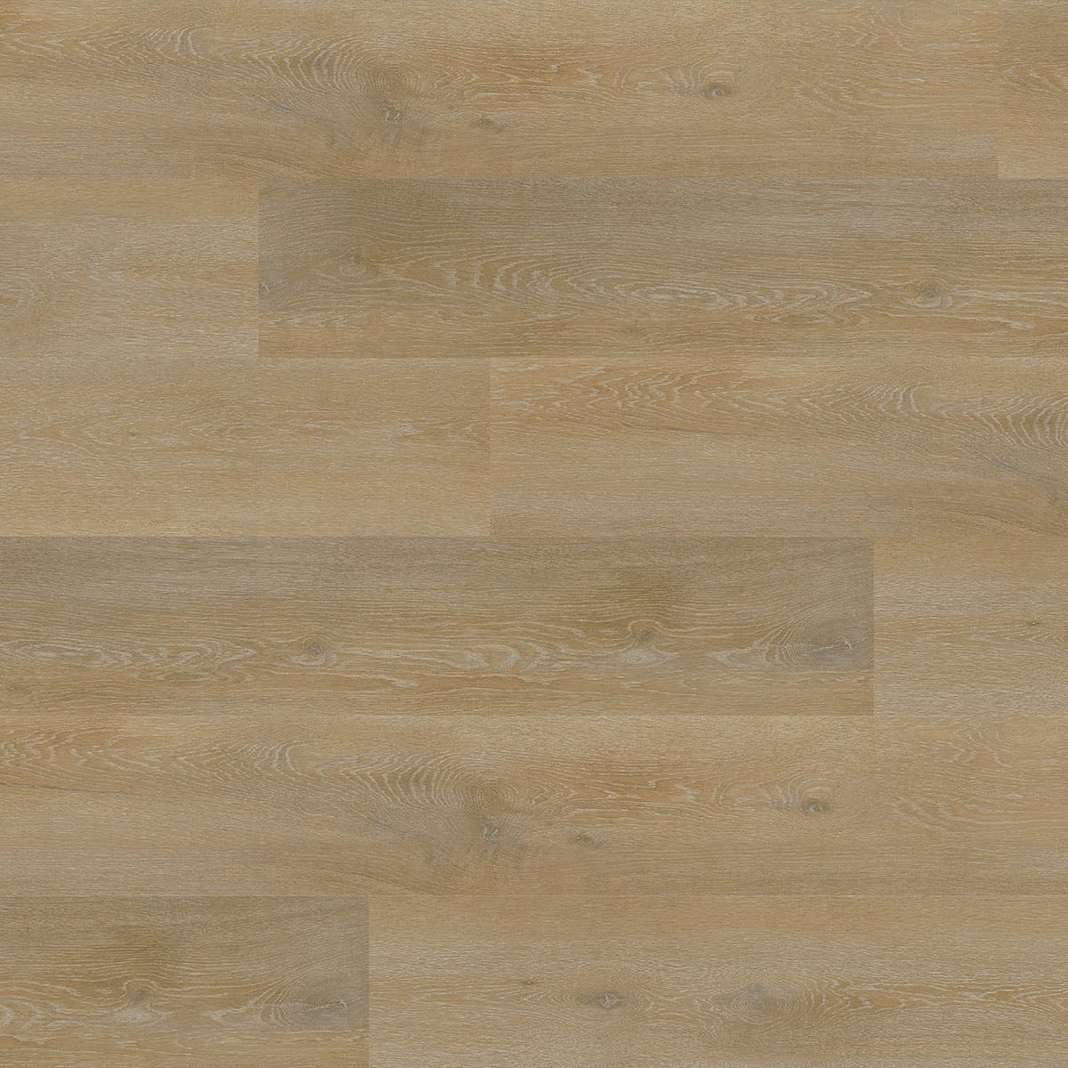 Aspecta GD55 Albano XL Plank