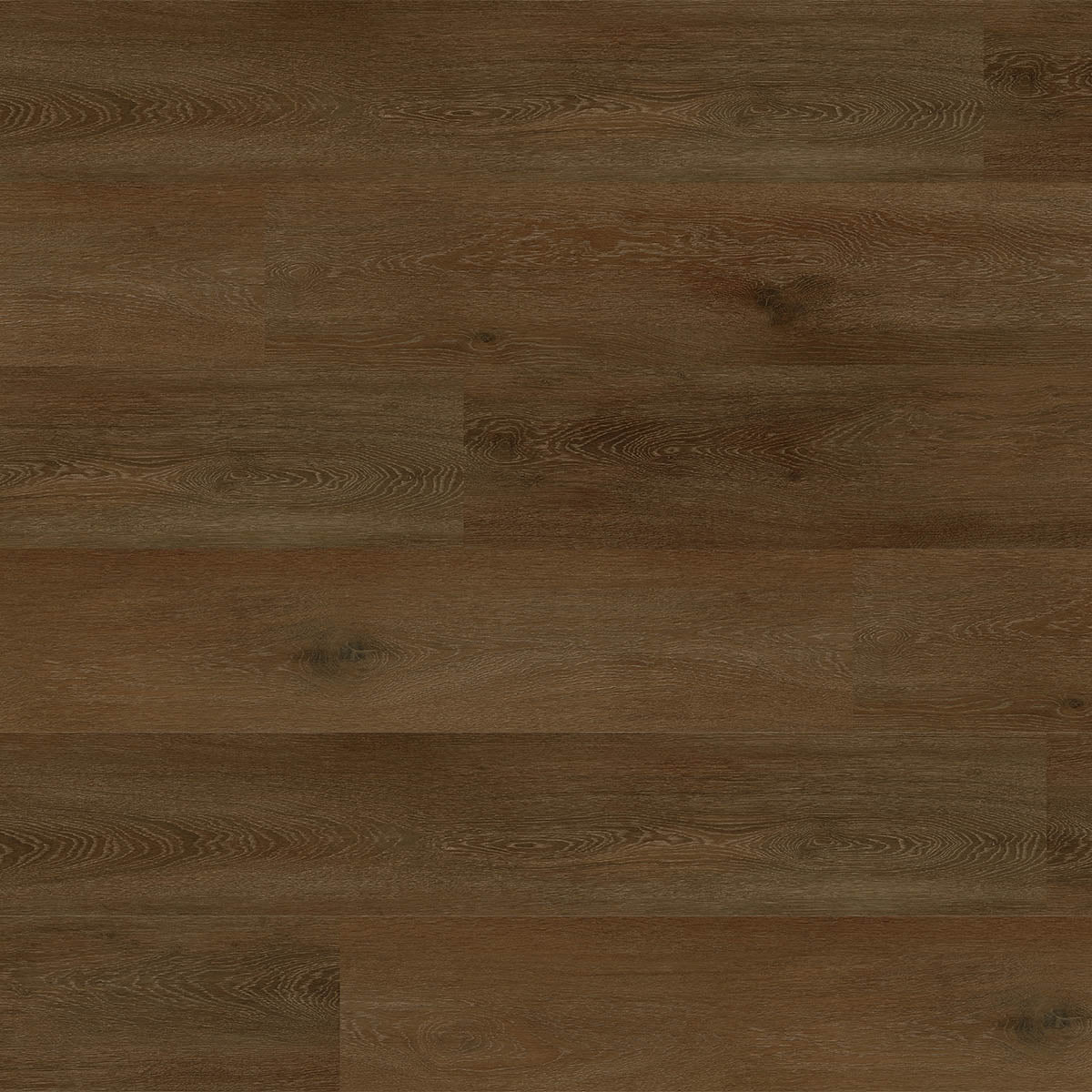 Aspecta GD55 Maggiore XL Plank