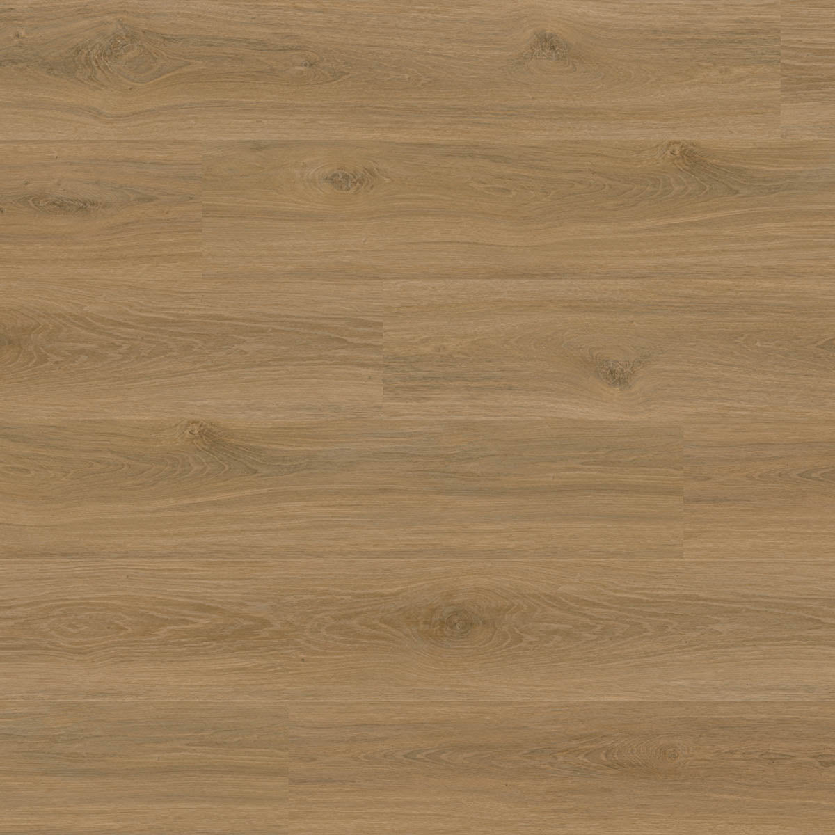 Aspecta GD55 Macadamia XL Plank