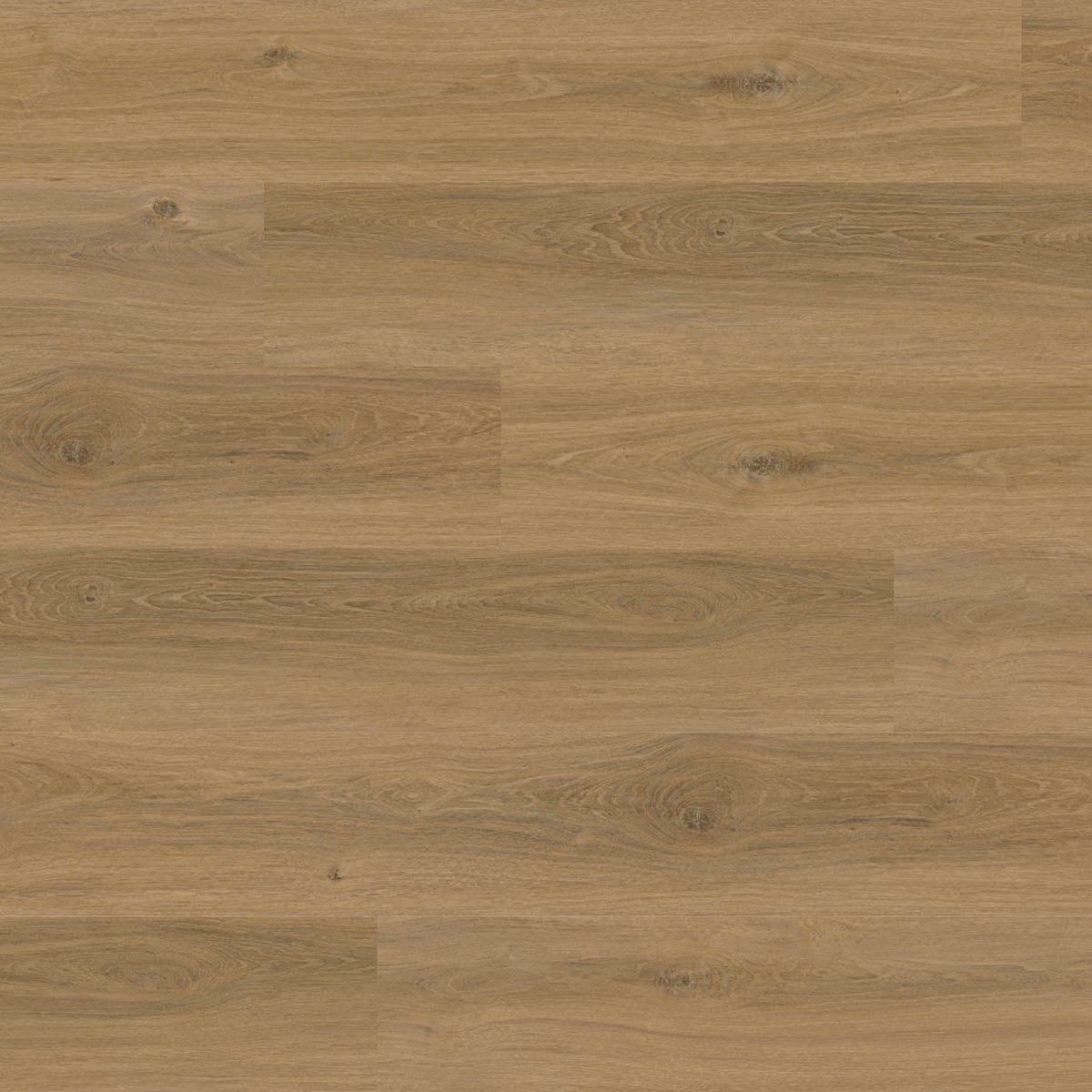 Aspecta GD70 Macadamia XL Plank