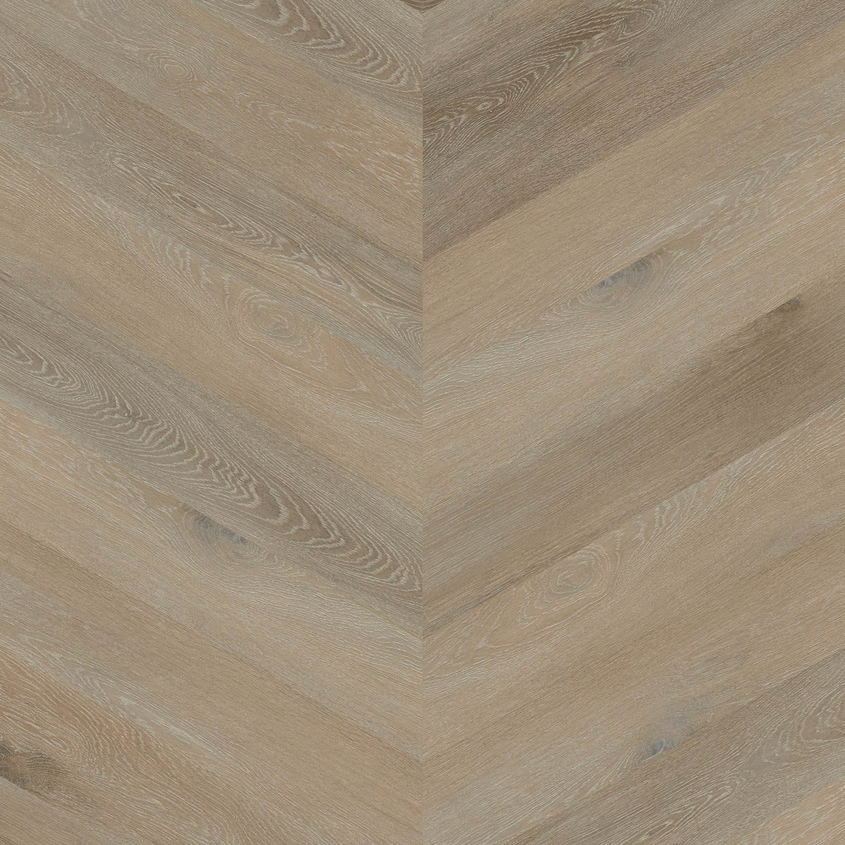 Aspecta GD55 Bolsena Single Plank Chevron