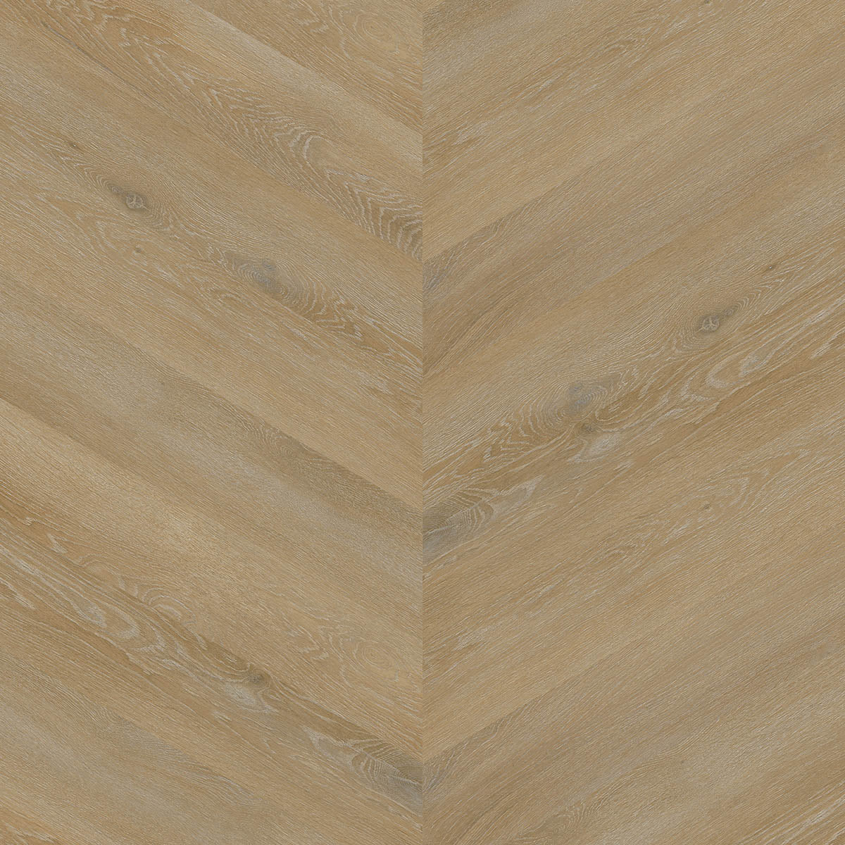 Aspecta GD55 Albano Single Plank Chevron