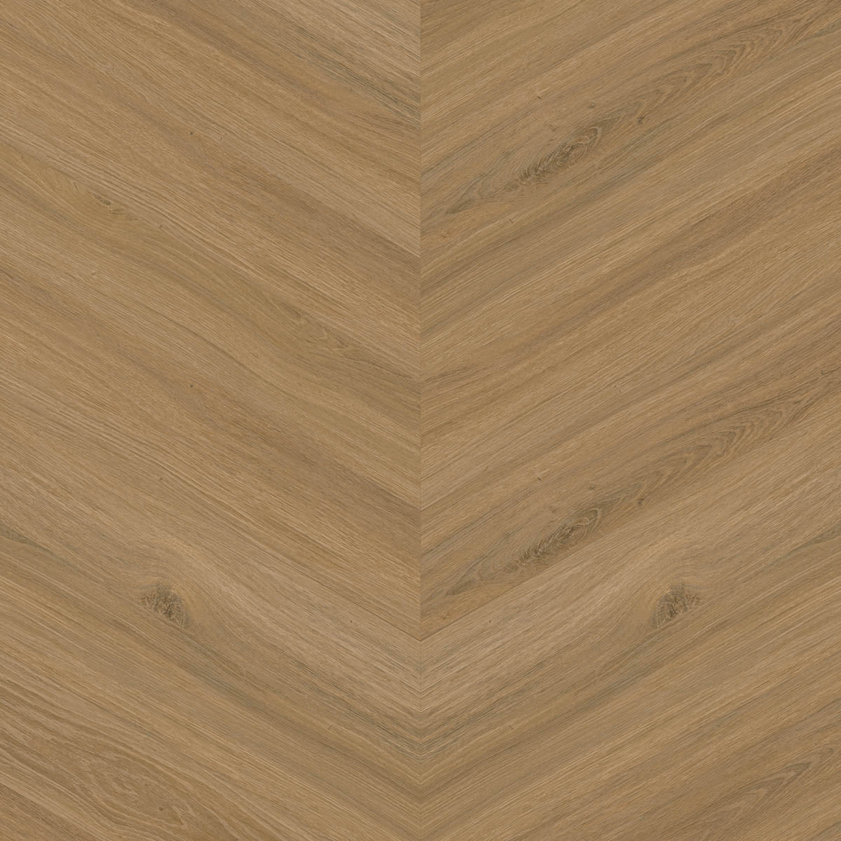 Aspecta GD55 Macadamia Single Plank Chevron