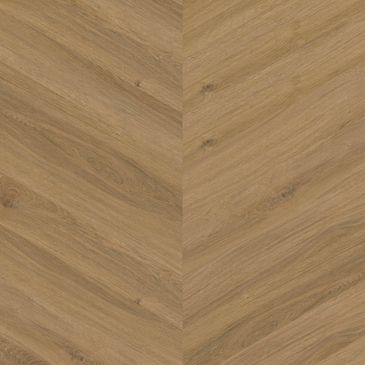 Aspecta IC55 Macadamia Single Plank Chevron