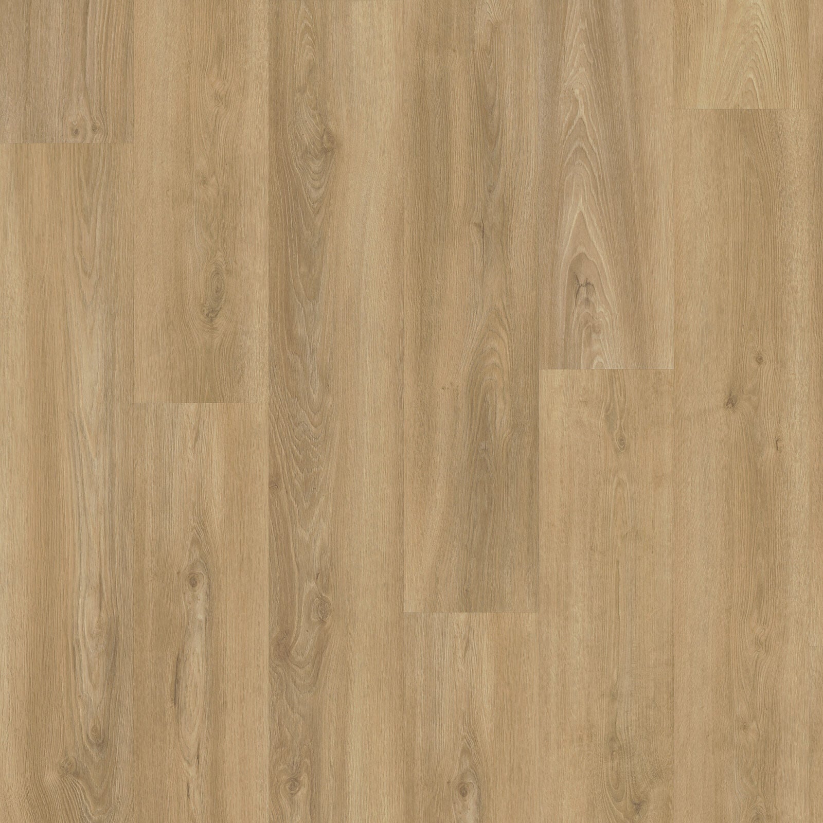 Eiken 3510 clickvariant