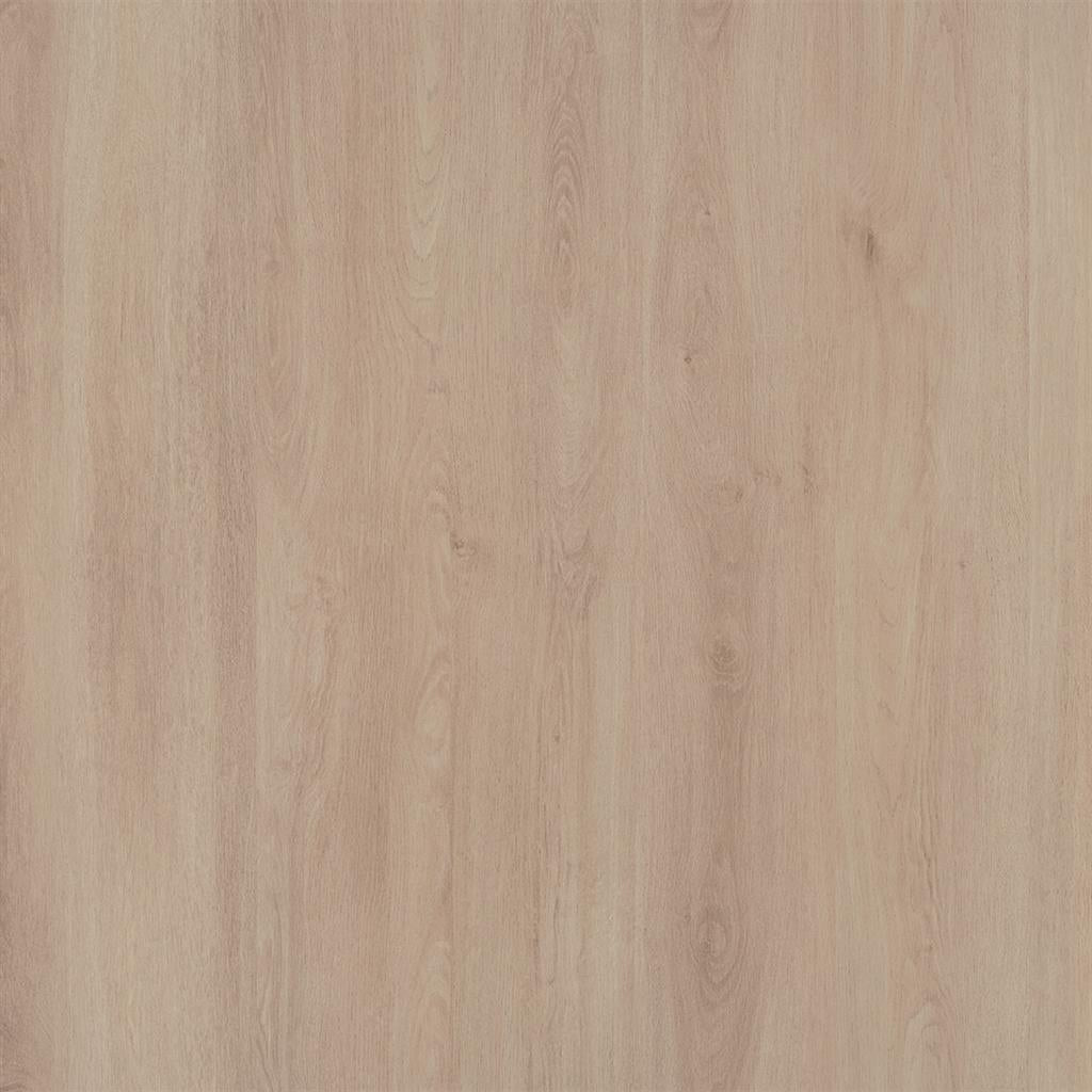 Patterson blank eiken