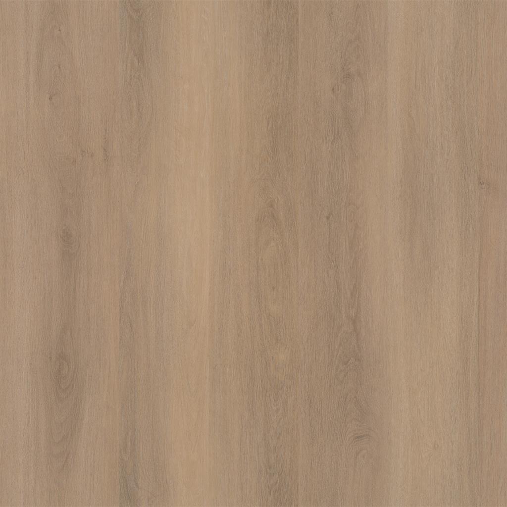 Patterson helder eiken