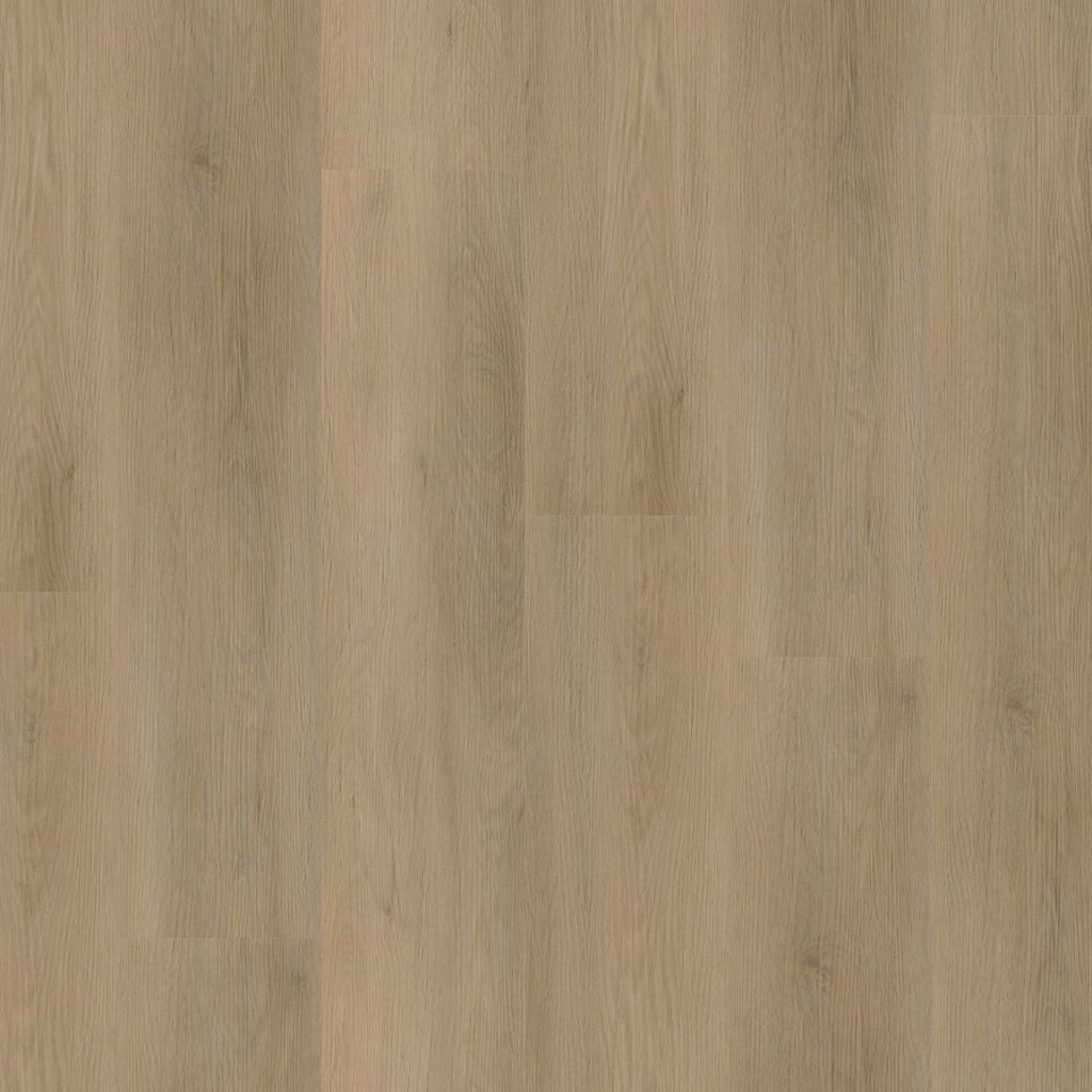 Newham dryback natural oak