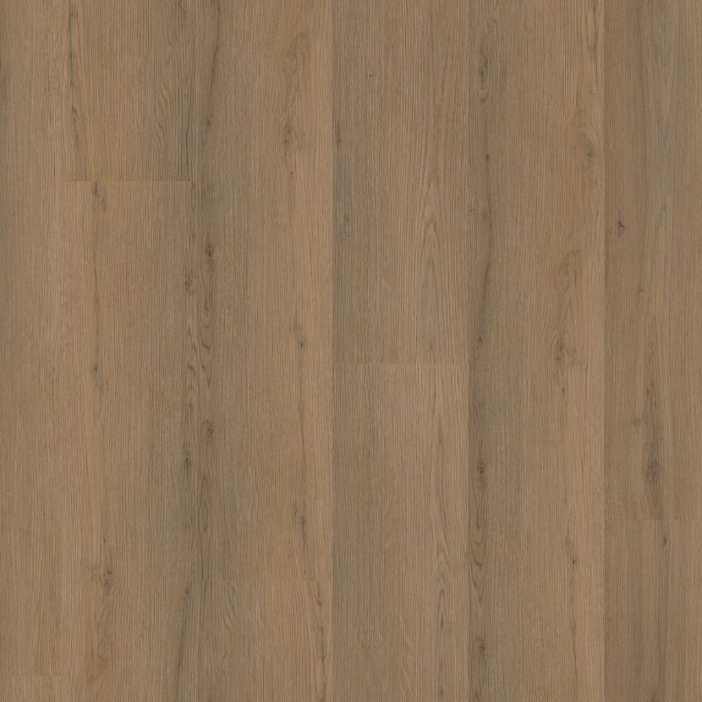 Barnet dryback dark oak