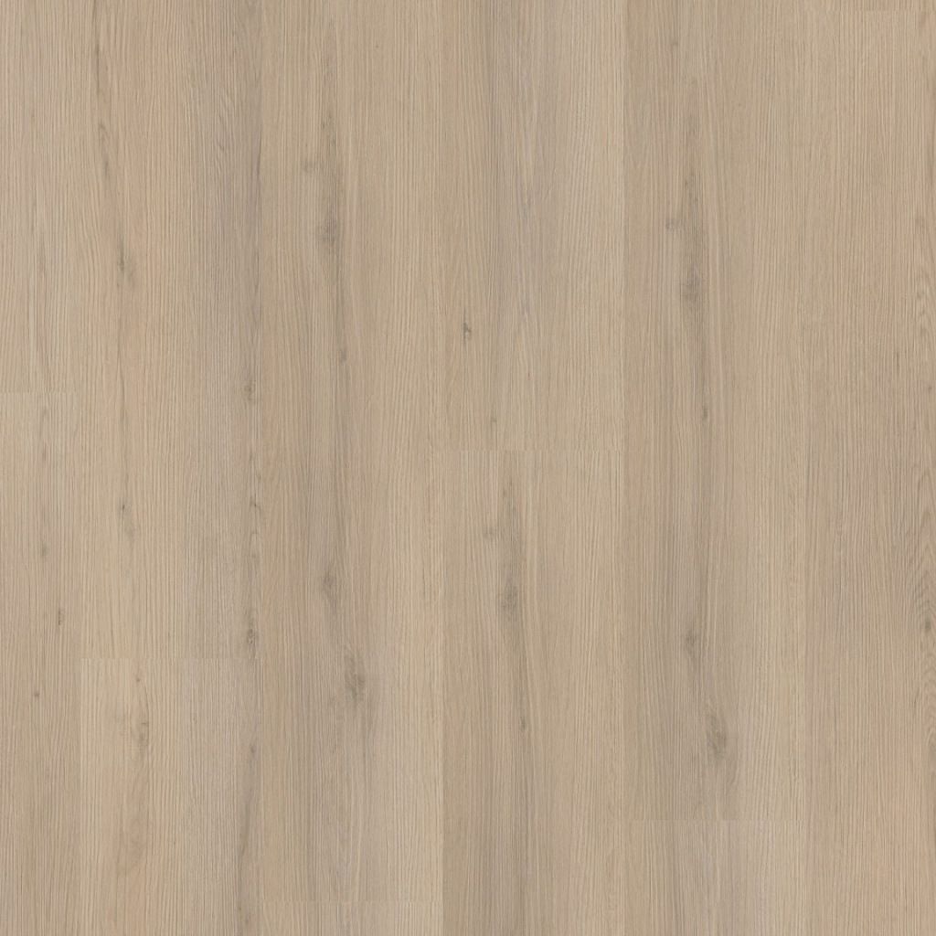 Barnet dryback beige