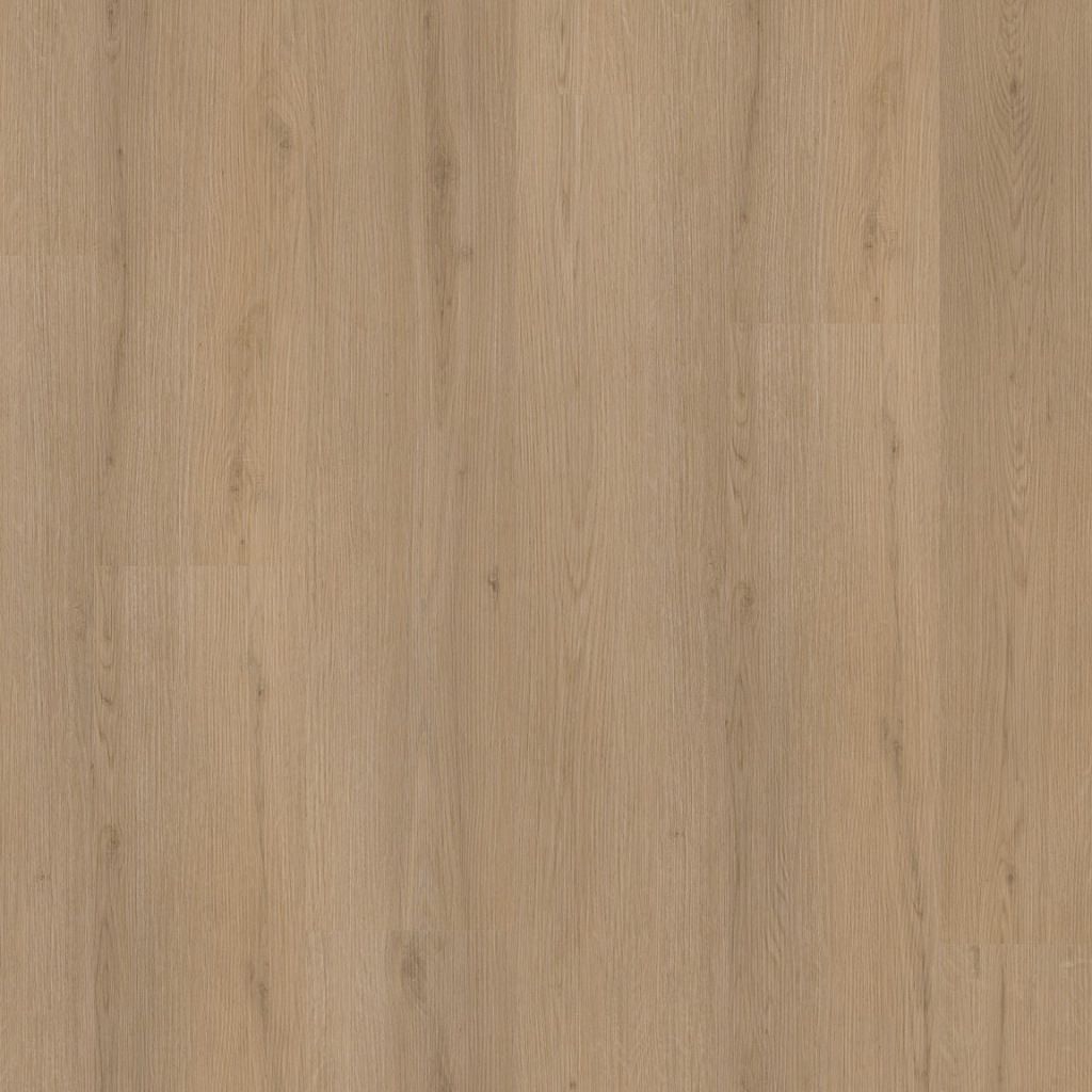 Barnet dryback natural oak