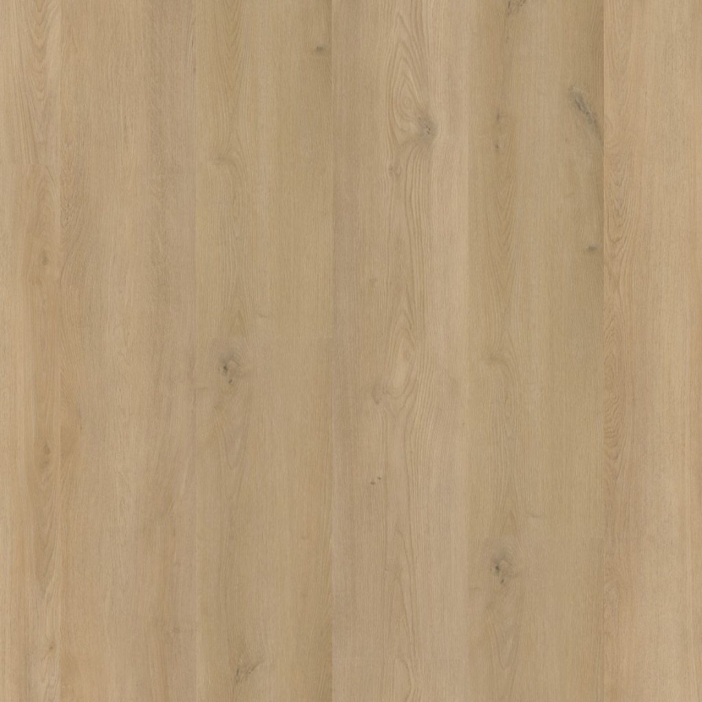 Greenwich dryback beige