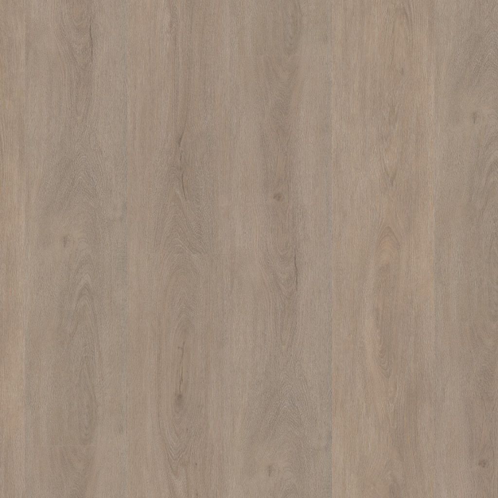 Parramatta dryback light oak